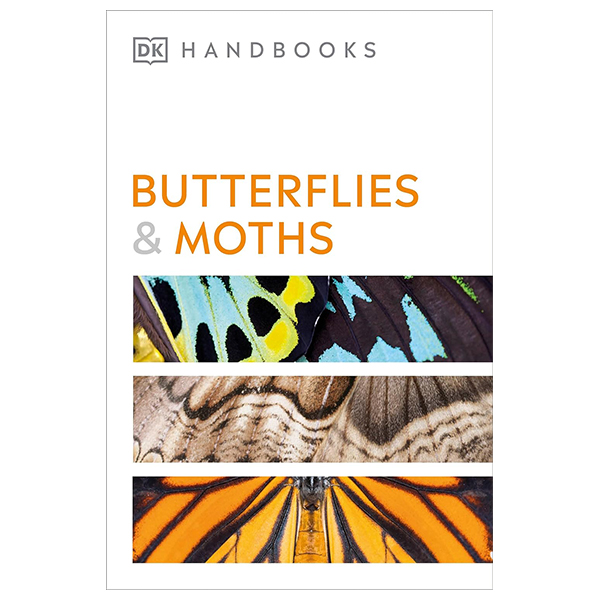 Butterflies And Moths
