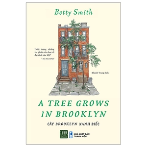 cây brooklyn xanh biếc