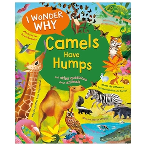i wonder why camels have humps
